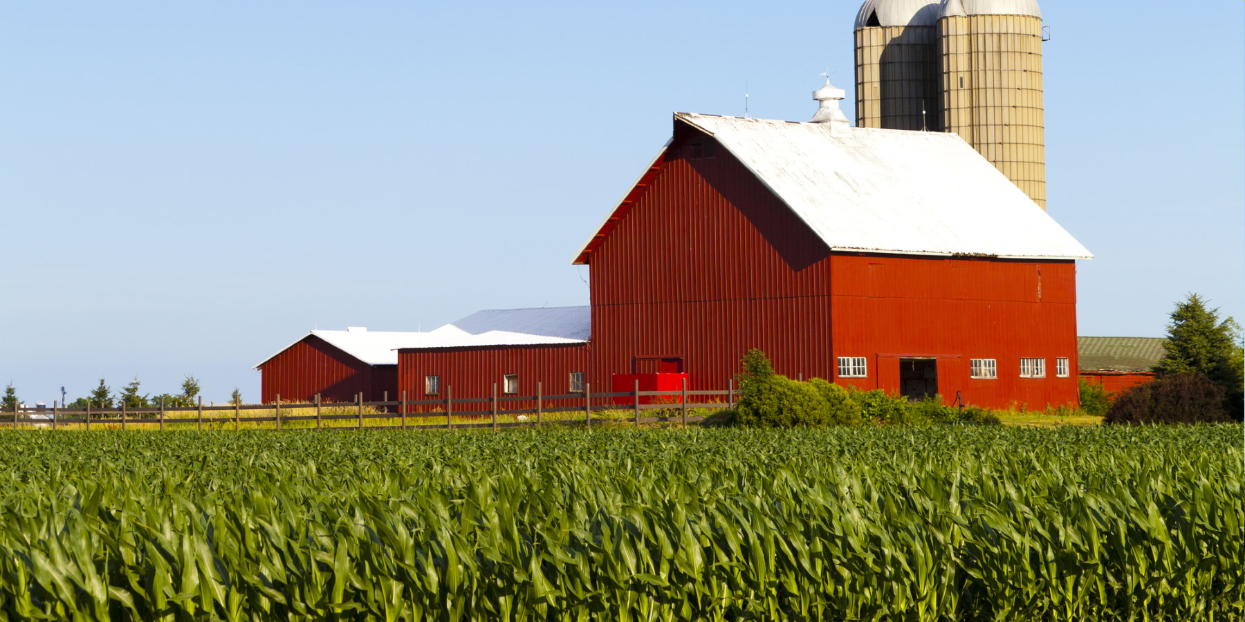 farm for farm insurance